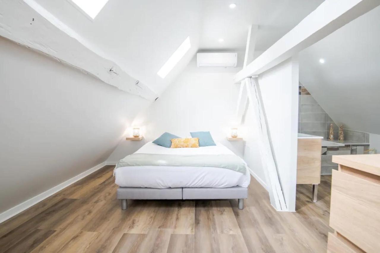 Comfortable Air-Conditioned T3 In The Heart Of Amboise With Parking Space Экстерьер фото