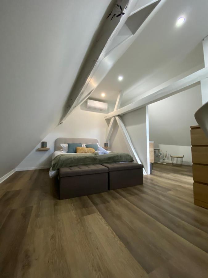 Comfortable Air-Conditioned T3 In The Heart Of Amboise With Parking Space Экстерьер фото
