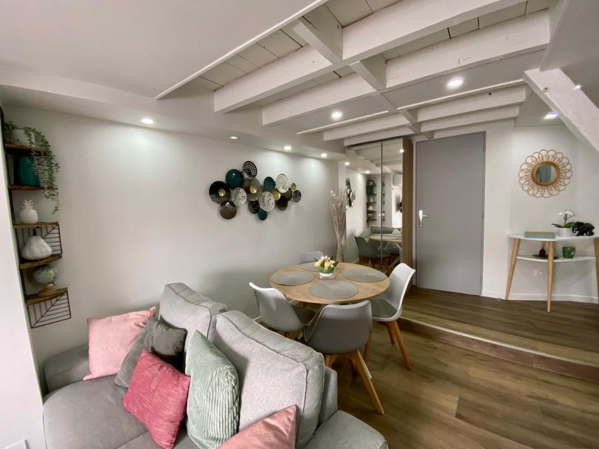 Comfortable Air-Conditioned T3 In The Heart Of Amboise With Parking Space Экстерьер фото